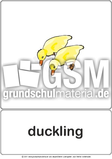 Bildkarte - duckling.pdf